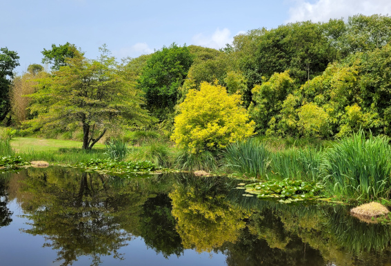 Relation d'aide holistique